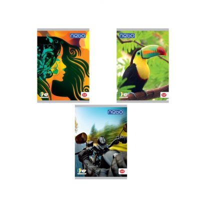 CAIET A4 48 FILE DICTANDO NEBO