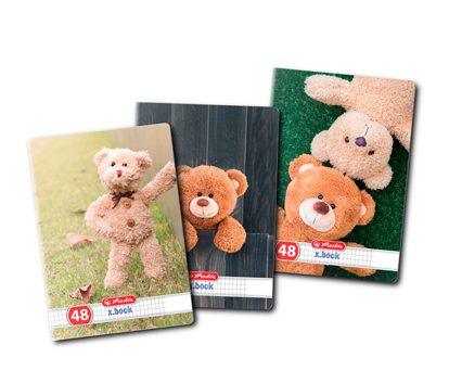 CAIET A5 48F PATRATELE TEDDY